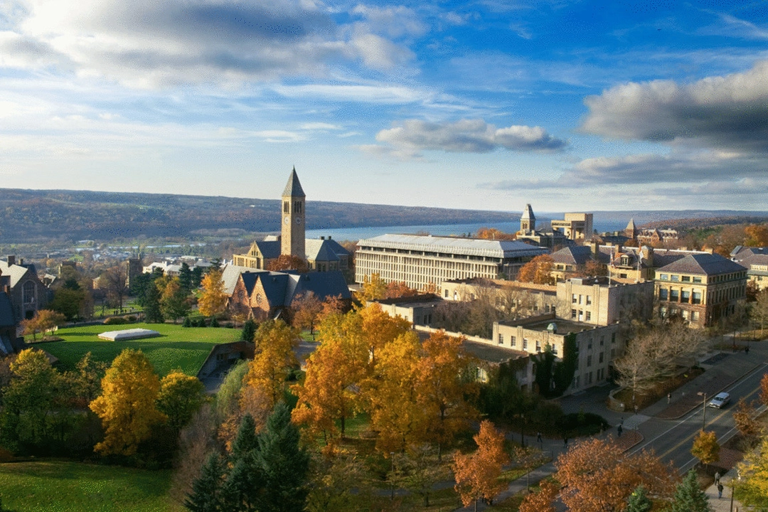 Cornell University MEM