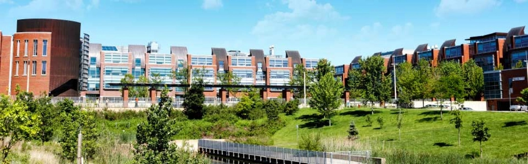 Ontario Tech University MEM