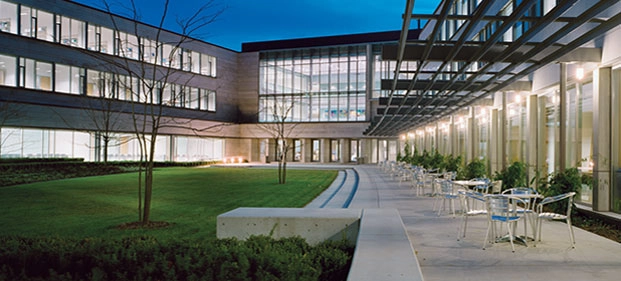 York Schulich MFin
